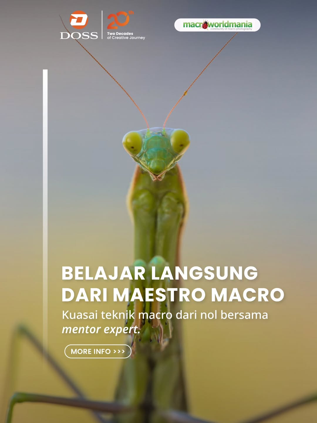 Yuk Belajar Macro dari Nol sampai Advance di Indonesia Macro Summit 2026 Tanggal 8-10 Mei 2026