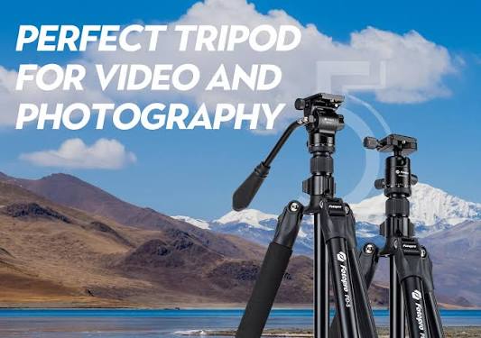 Kenalan Sama Fotopro PD-5: Tripod Budget-Friendly Andalan Kreator Konten