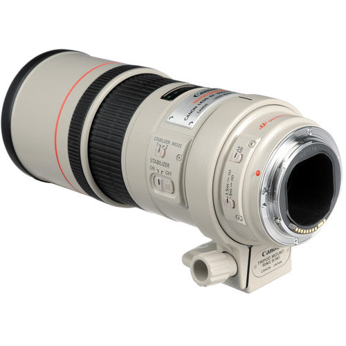 Canon EF 300mm f4L IS USM Lens