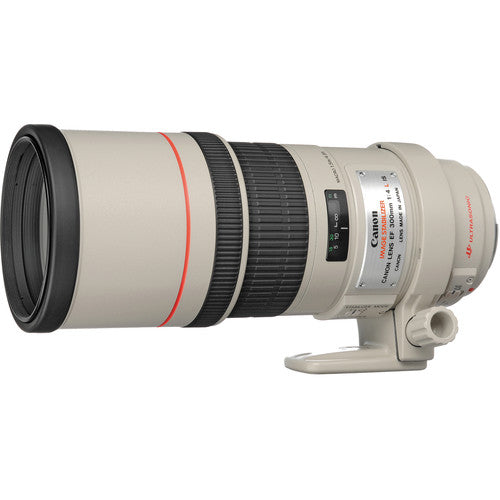 Canon EF 300mm f4L IS USM Lens