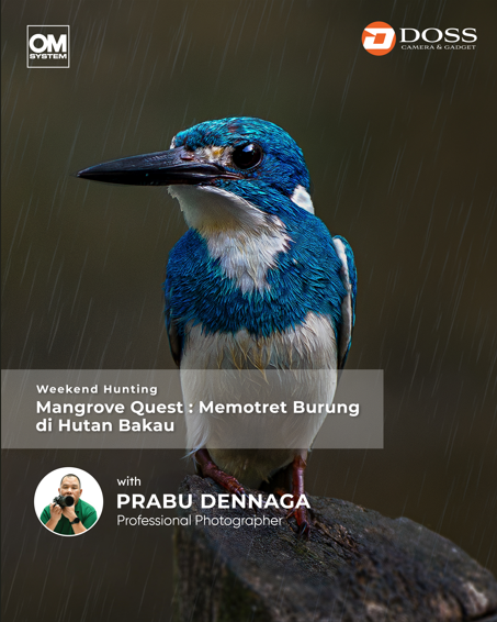 JKT - Weekend Hunting: Mangrove Quest – Memotret Burung di Hutan Bakau