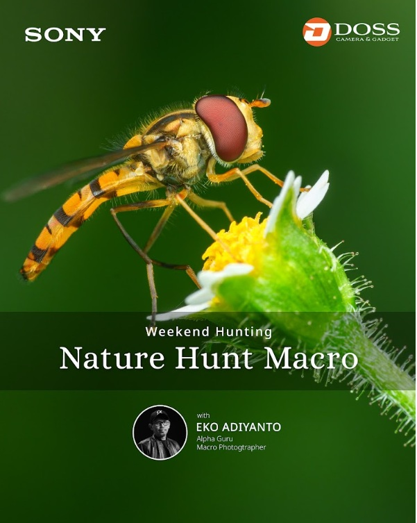 BDG - Weekend Hunting: Nature Hunt Macro