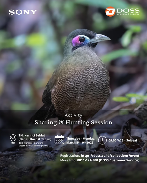 Explore Danau Kaco & Tapan