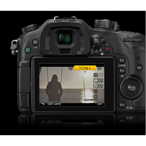 Panasonic DMW-SFU1GU V-Log L Firmware Upgrade for Lumix GH5