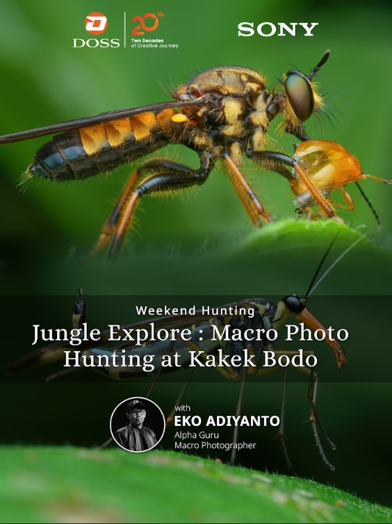 SBY - Weekend Hunting Alert!