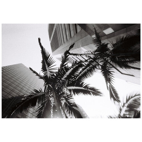 Lomography Simple Use Reloadable Black & White Film Camera (27-Exposure Roll)