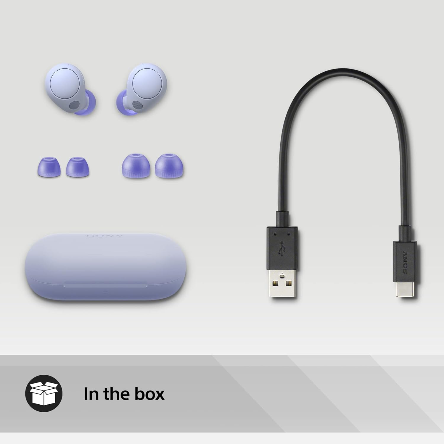 Sony WF-C700N True Wireless ANC In-Ear Headphones (Lavender)