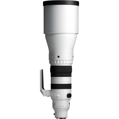 Sigma 300-600mm f4 DG OS Sports Lens for L Mount