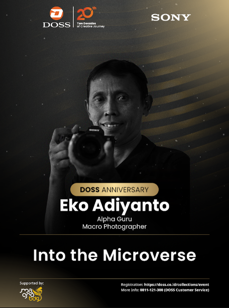 BDG - Into the Microverse