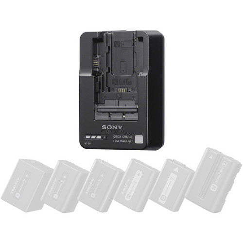 Sony BC-QM1 Battery Charger