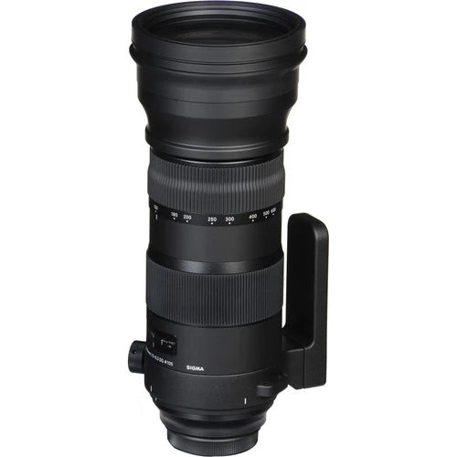 Sigma 150-600mm F5-6.3 DG OS HSM Sports Lens for Nikon F