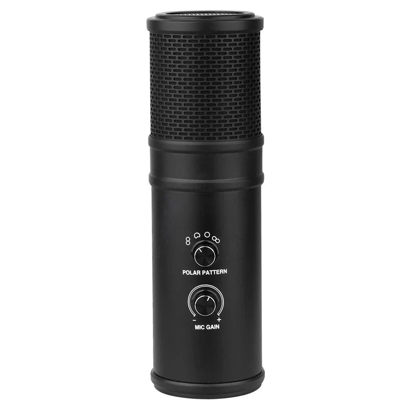 Alctron UR66 USB condenser recording mic