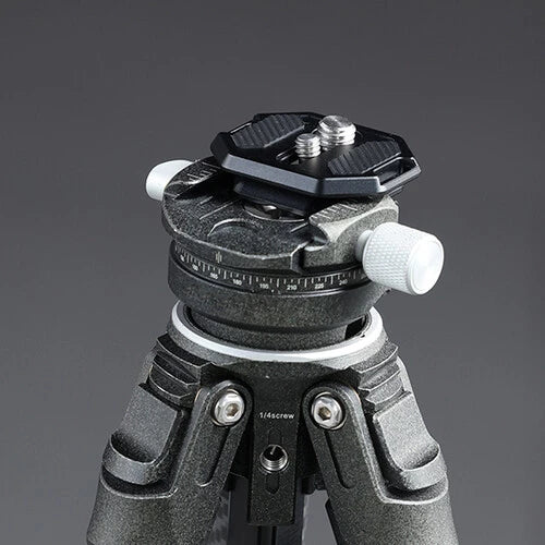 Falcam F38 quick release dual screw thread plate 2969A