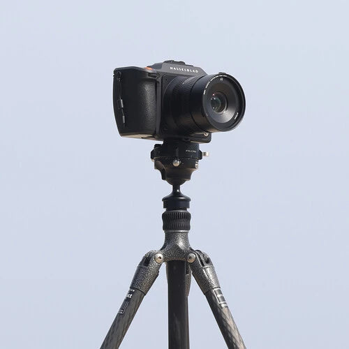 Falcam F38 Pro Quick Release Trigger with Inverted Ball Head 320P (F38B4303)