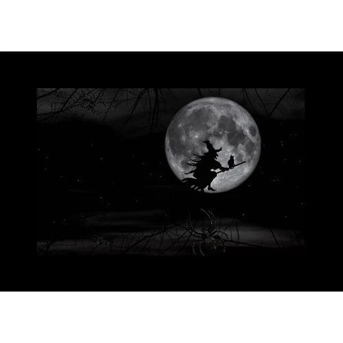 Godox AK-S02 ( Slide Set 2 )