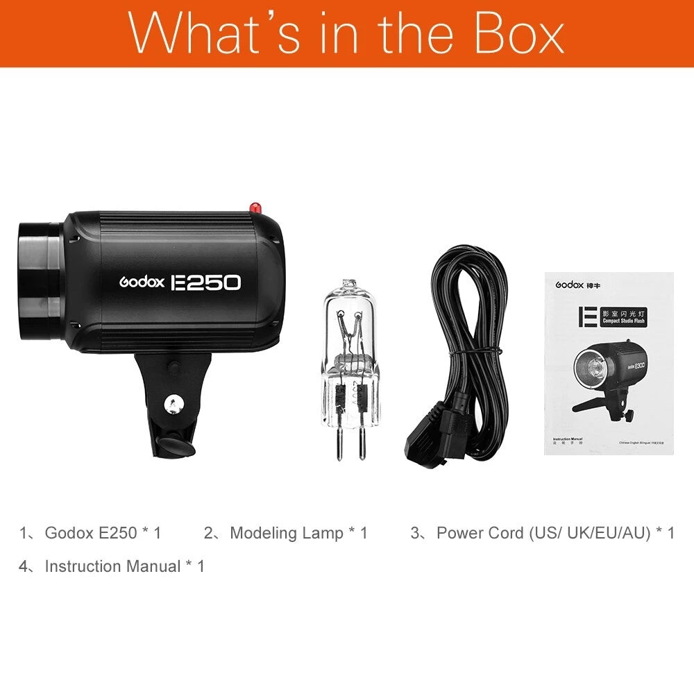 Godox E 250 Studio Flash