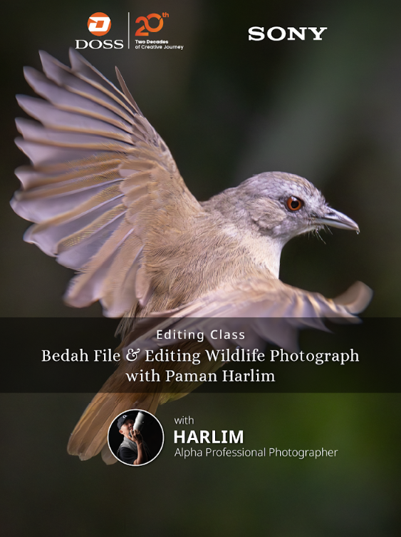 JKT - VIP Editing Class: Bedah File & Editing Wildlife Photograph with Paman Harlim