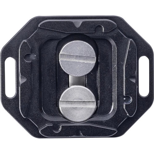 Falcam F38 quick release dual screw thread plate 2969