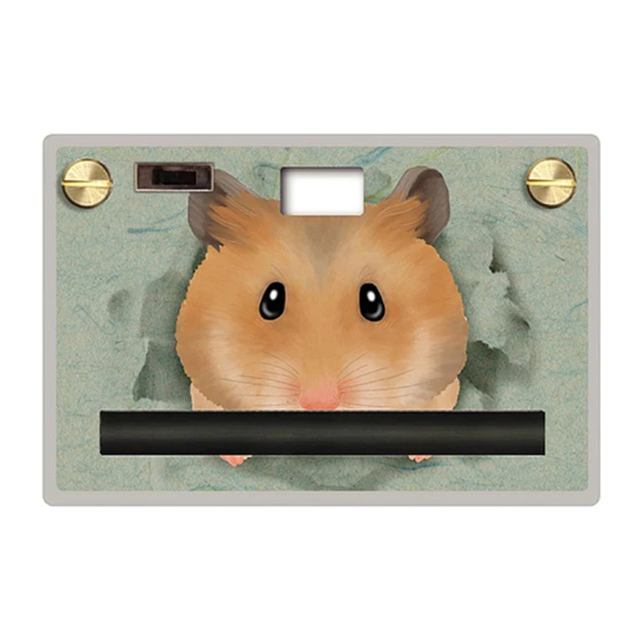 Paper Shoot Paper Camera Butts Series (hamster)