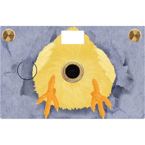 Paper Shoot Paper Camera Butts Series (chick)