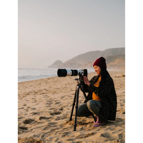 Fujifilm XF 150-600mm F5.6-8 R LM OIS WR Lens