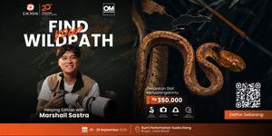 Yuk Join Find Your Wildpath Herping Edition, Rasain Sensasi Motret Satwa Malam Hari bareng Marshall Sastra