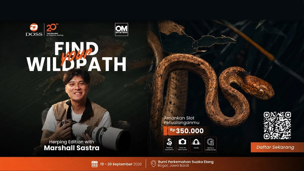 Yuk Join Find Your Wildpath Herping Edition, Rasain Sensasi Motret Satwa Malam Hari bareng Marshall Sastra