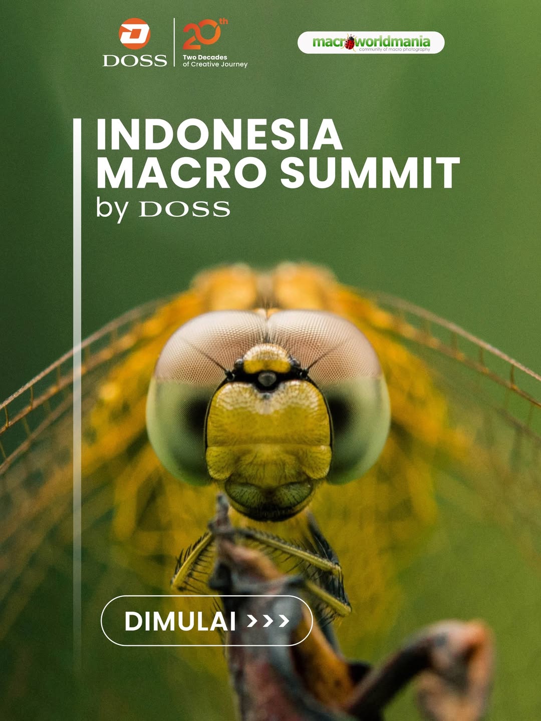 Indonesia Macro Summit 2026 di DOSS: Surga Fotografi Macro untuk Kreator Indonesia