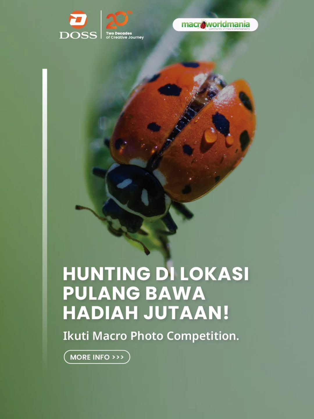 Indonesia Macro Summit 2026: Yuk Ikutan On The Spot Macro Photo Competition dengan Hadiah Jutaan Rupiah