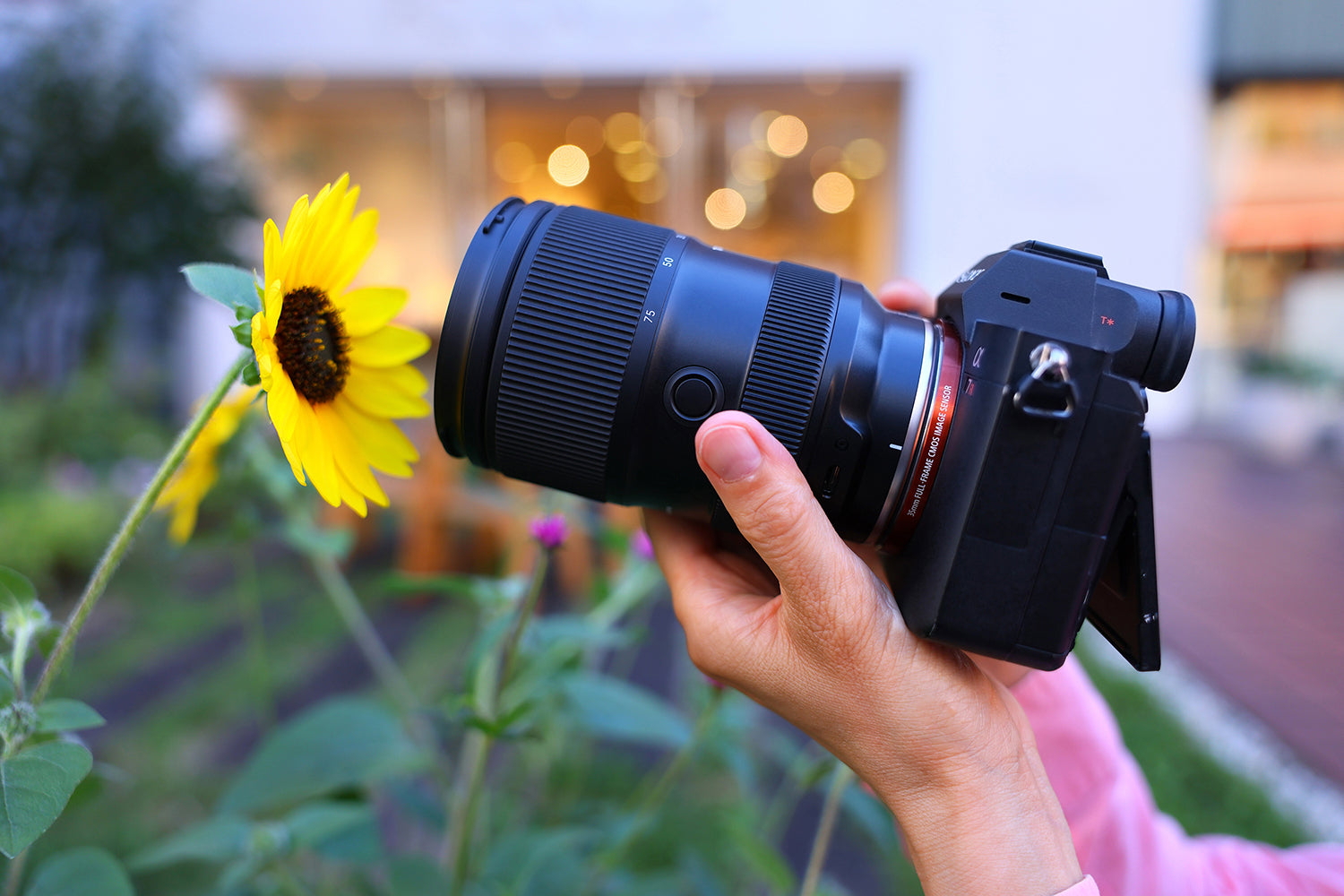 Tamron 28-75mm F2.8 Di III VXD G2: Lensa "Sapu Jagat" Andalan Konten Kreator & Fotografer Profesional