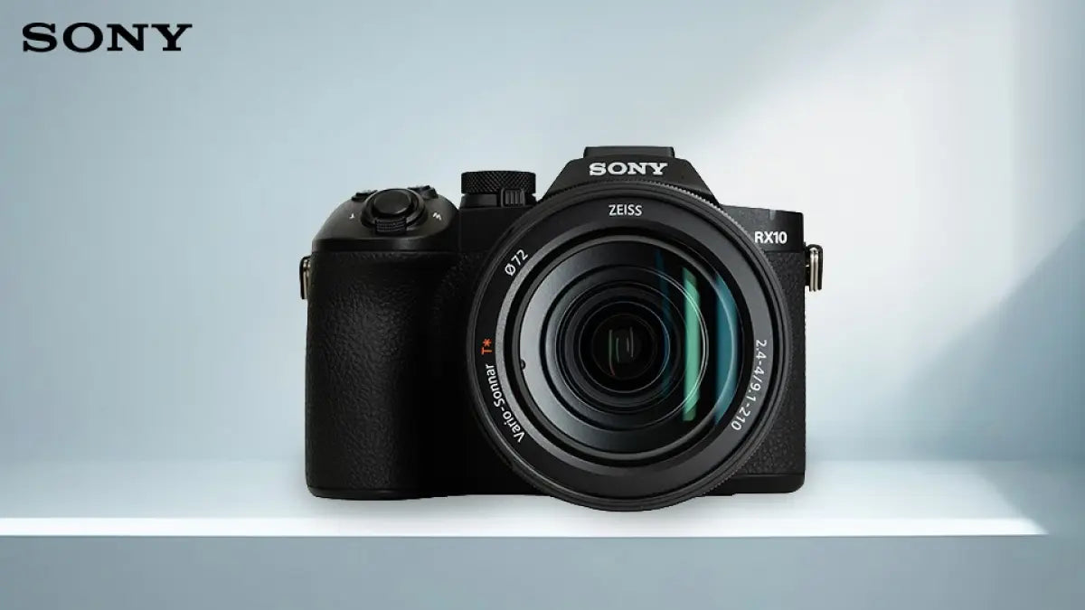 Sony RX10 V vs. Mirrorless Profesional: Mana yang Lebih "Jago" buat Motret Burung?