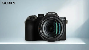 Sony RX10 V vs. Mirrorless Profesional: Mana yang Lebih "Jago" buat Motret Burung?