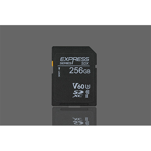 NOVACHIPS EXPRESS SDXC 256GB UHS II V60