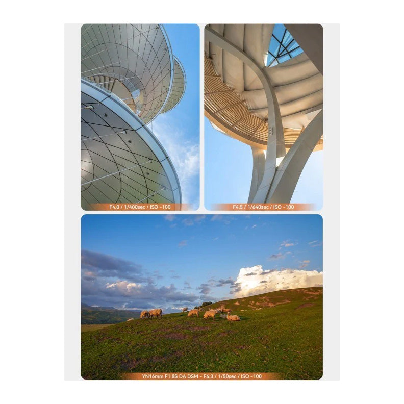 Yongnuo YN 16mm f1.8S DA DSM (Sony E)