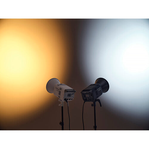 Godox Litemons LE300Bi Bi-Color LED Monolight (White)