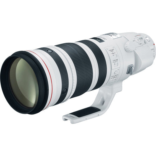 Canon EF 200-400mm f4L IS USM Extender 1.4x Lens