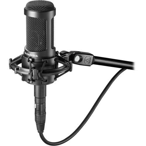 Audio Technica AT2050 - Multi-pattern Condenser Microphone