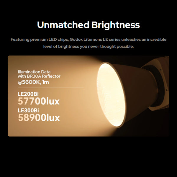 Godox Litemons LE200Bi Bi-Color LED Monolight (Black)