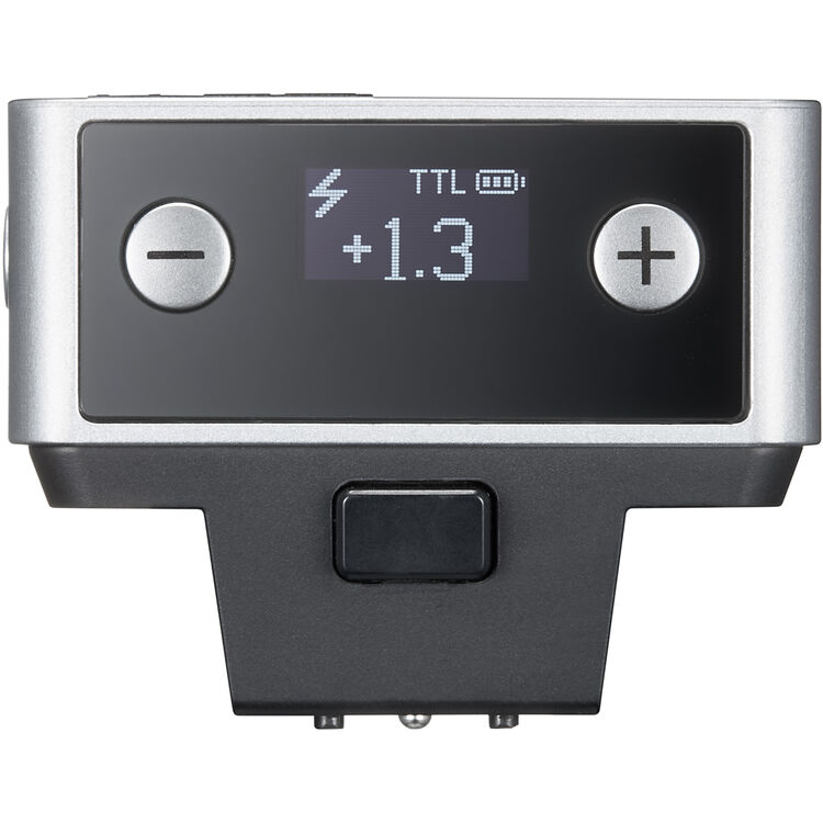 Godox iT20 R TTL Mini Flash for Ricoh (Silver)