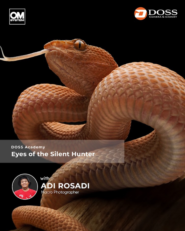 JKT - Eyes of the Silent Hunter