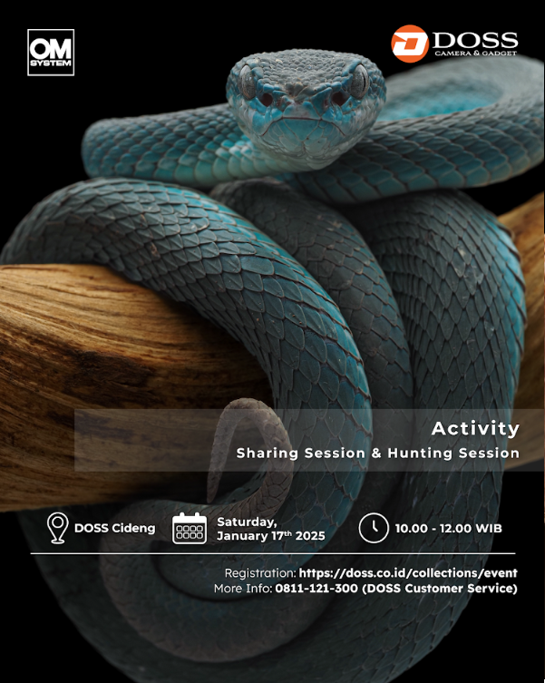 JKT - Eyes of the Silent Hunter