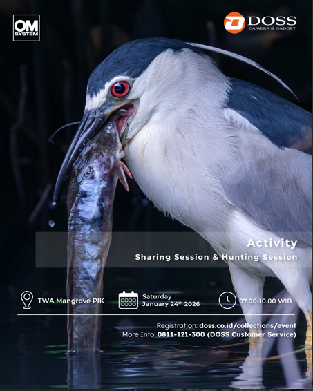 JKT - Weekend Hunting: Mangrove Quest – Memotret Burung di Hutan Bakau