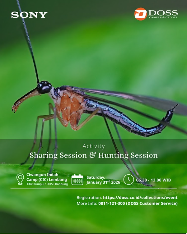 BDG - Weekend Hunting: Nature Hunt Macro