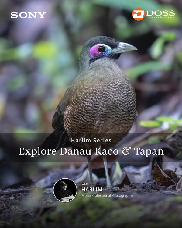 Explore Danau Kaco & Tapan