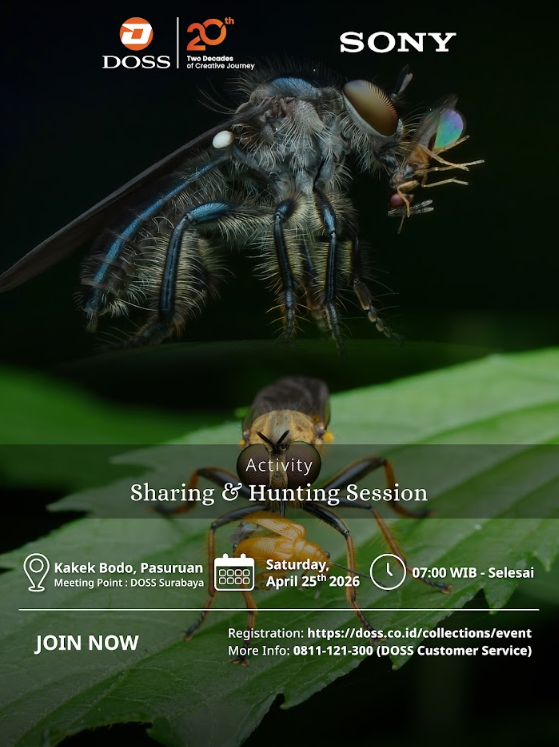 SBY - Weekend Hunting Alert!