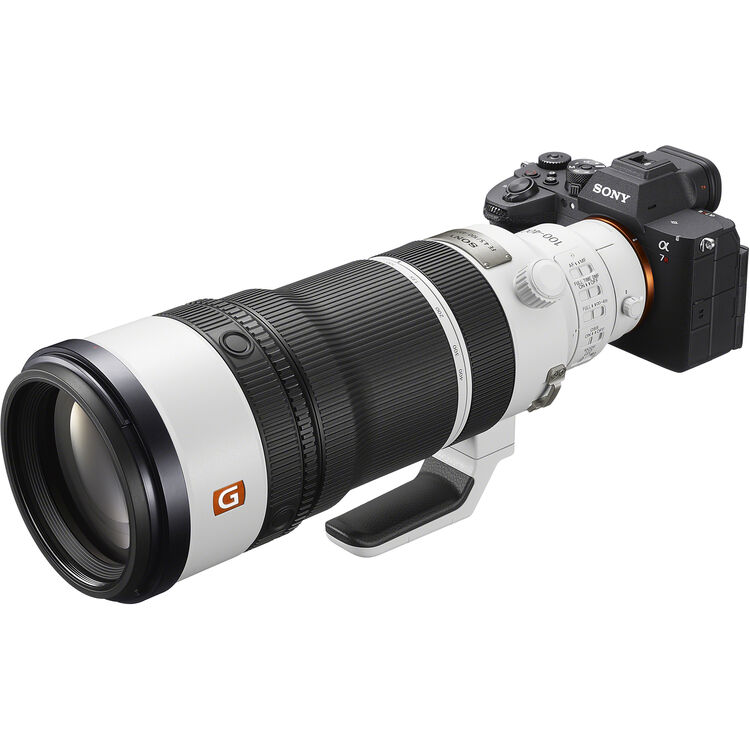 Sony FE 100-400mm f4.5 GM OSS Lens (Sony E) with Sony FE 1.4x Teleconverter