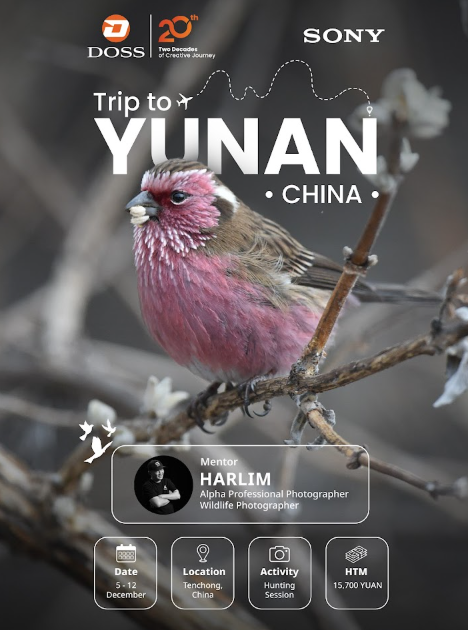 CHINA - Trip to Yunan, China bersama DOSS x Sony