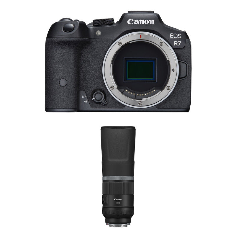 Canon EOS R7 Mirrorless Camera (Body Only) with Canon RF 800mm f/11 IS STM Lens