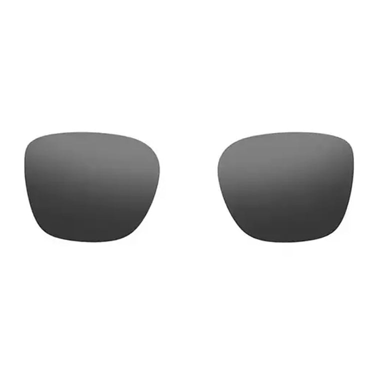 Rokid AI Glasses Style Lens Gray