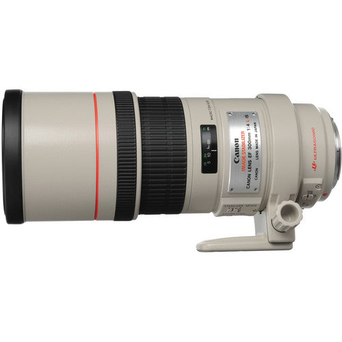 Canon EF 300mm f4L IS USM Lens